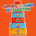 Support for Teams in Transition