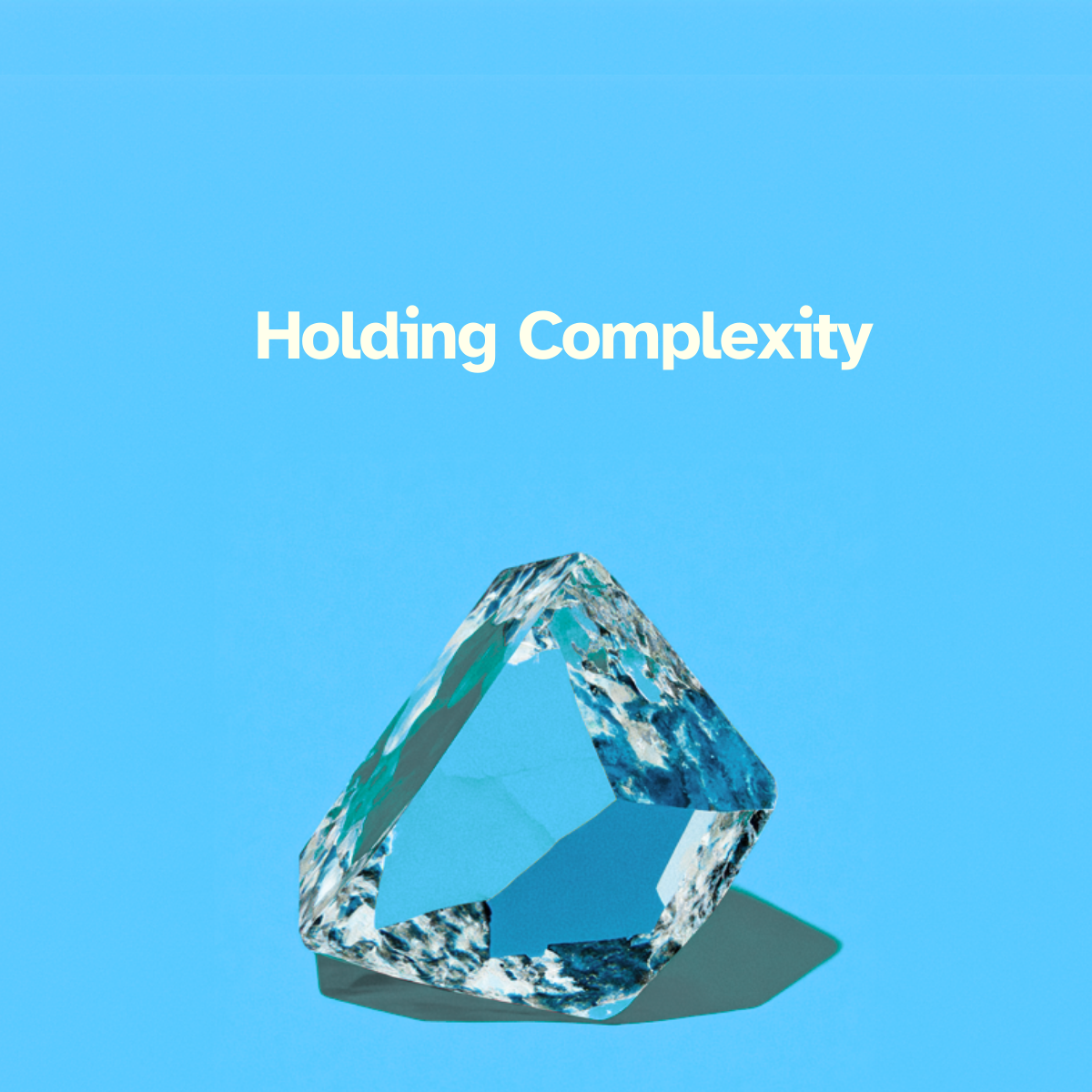 Holding Complexity